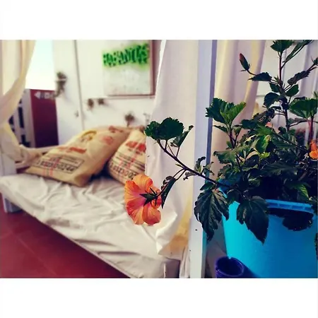 Habanitas Apartment